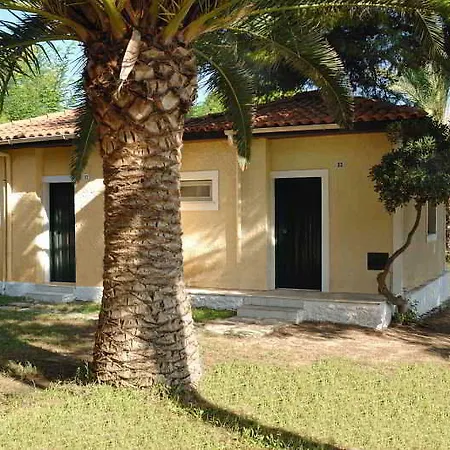 Mimoza 2*
